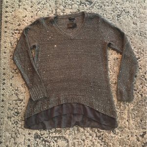 The Limited Sparkly Sweater
